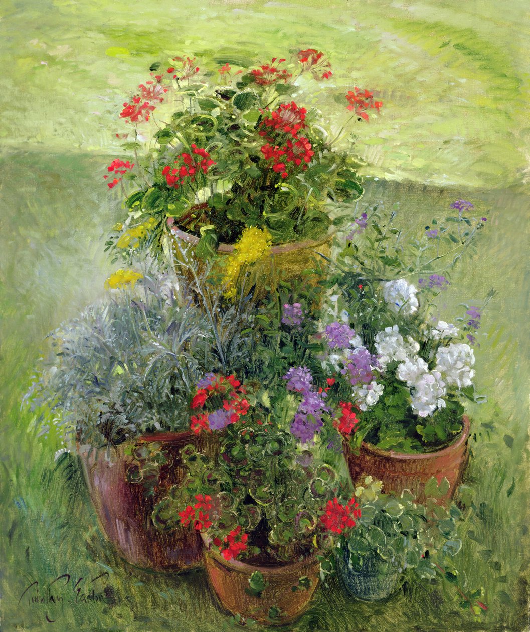 Tachos com sombra (óleo sobre tela) de Timothy Easton