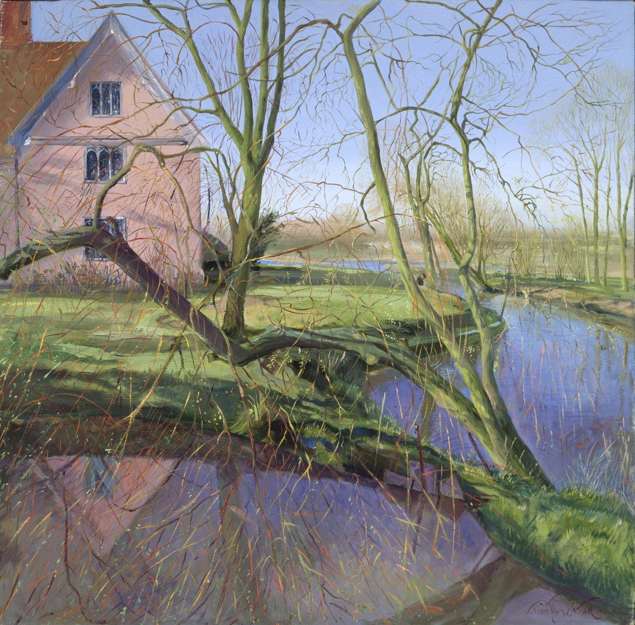 Salgueiro em crescimento de Timothy Easton