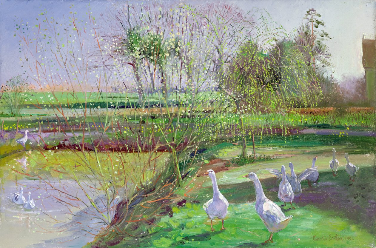 Salgueiro e Gansos de Timothy Easton