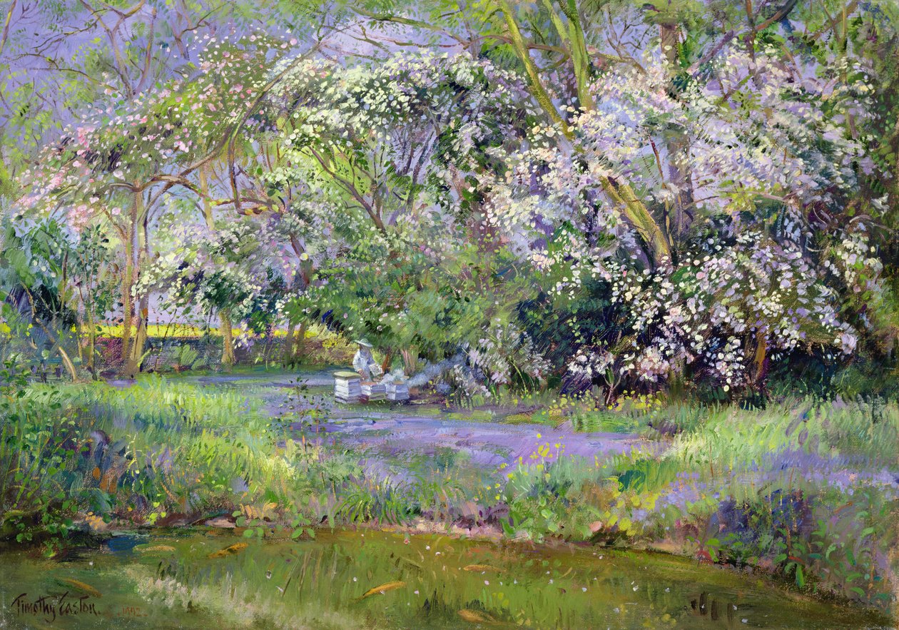 Colméias da floresta de Timothy Easton