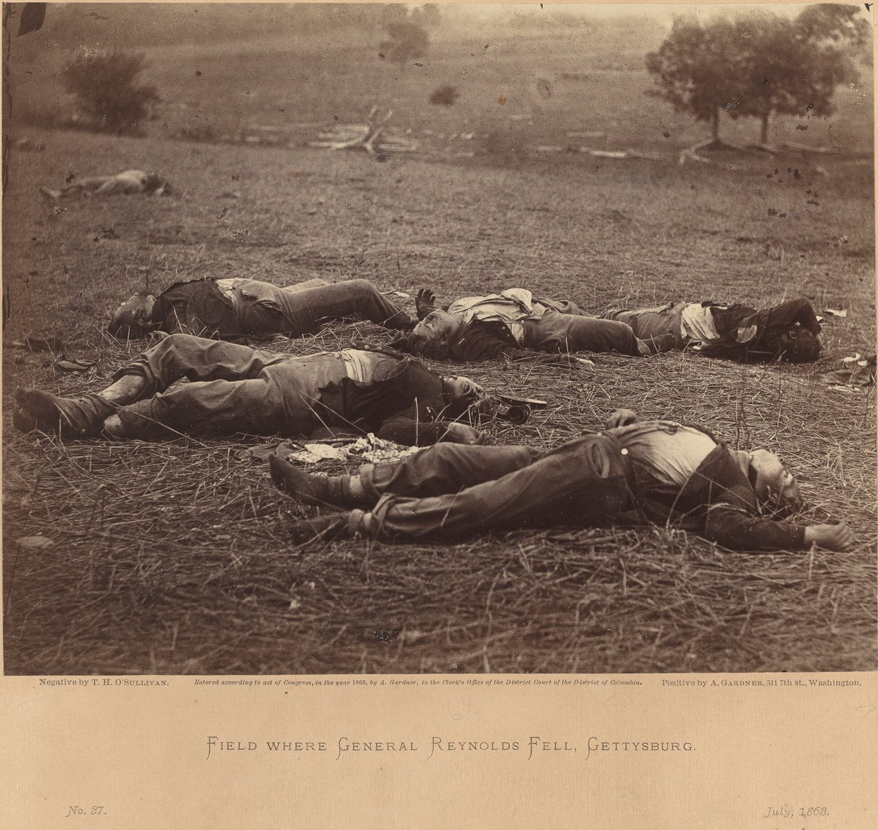 Campo onde o general Reynolds caiu, Gettysburg, 5 de julho de 1863 de Timothy H. O