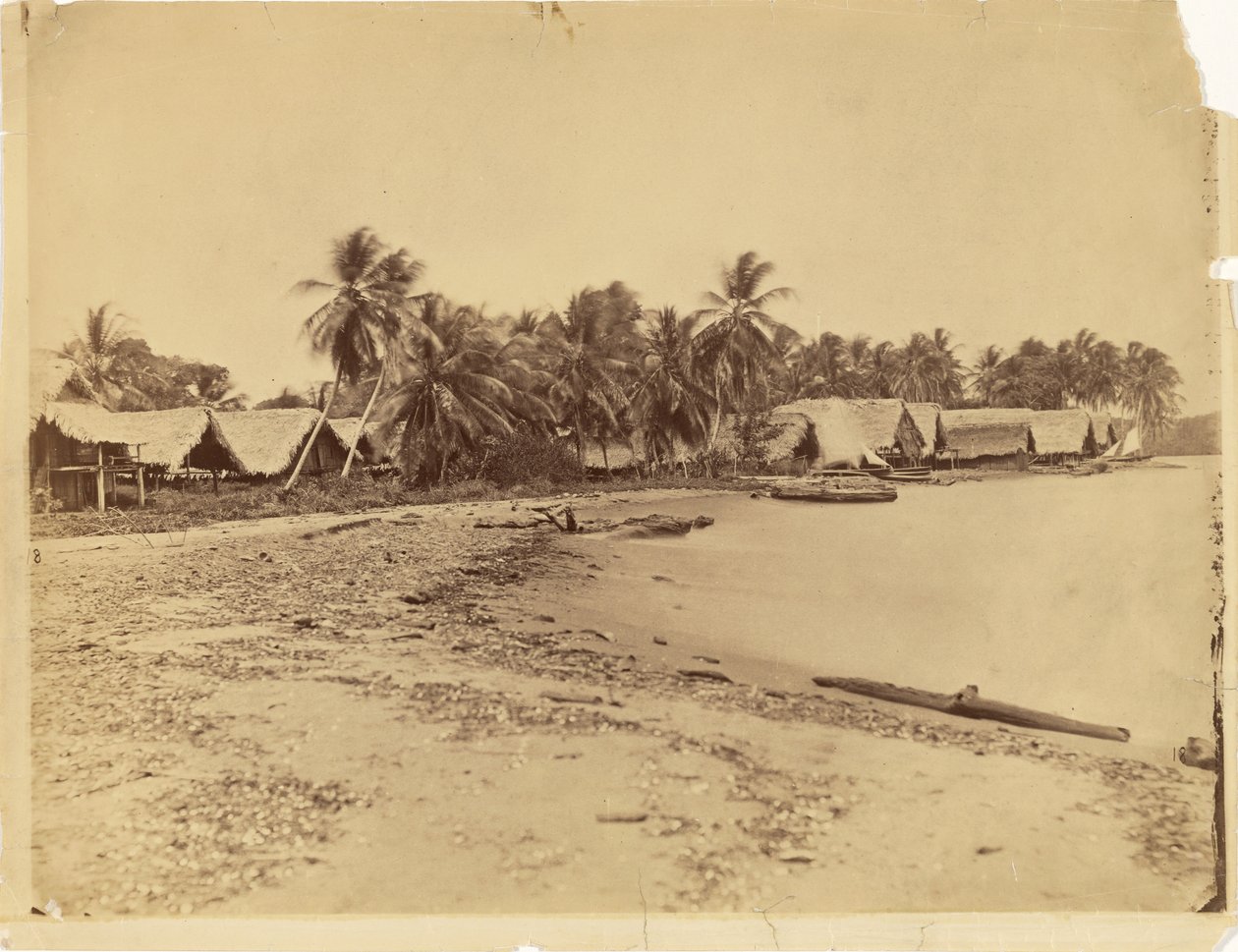 [Cabanas, palmeiras e praia, Itshumus, em Darién (Panamá)] de Timothy H. O