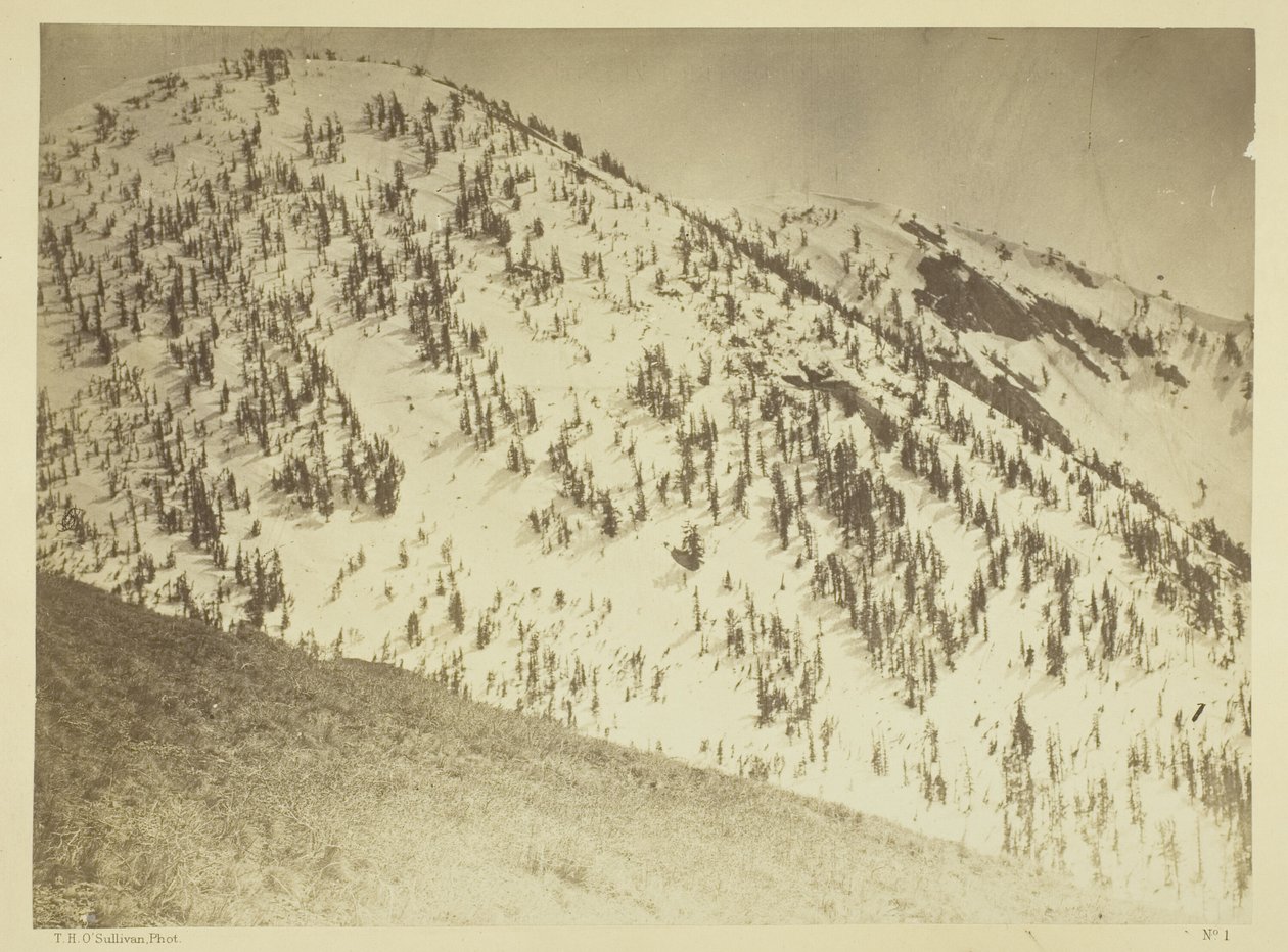 Snow Peaks, Distrito Mineiro de Bull Run, Nevada de Timothy O