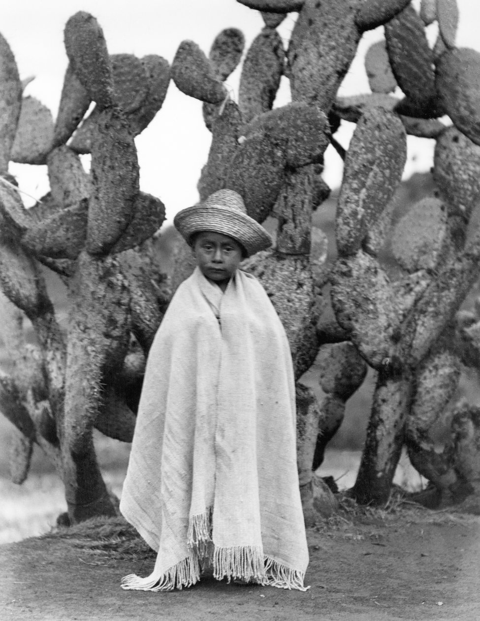 Menino, frente, cacto, estado, veracruz, méxico, 1927, (bw, photo) de Tina Modotti