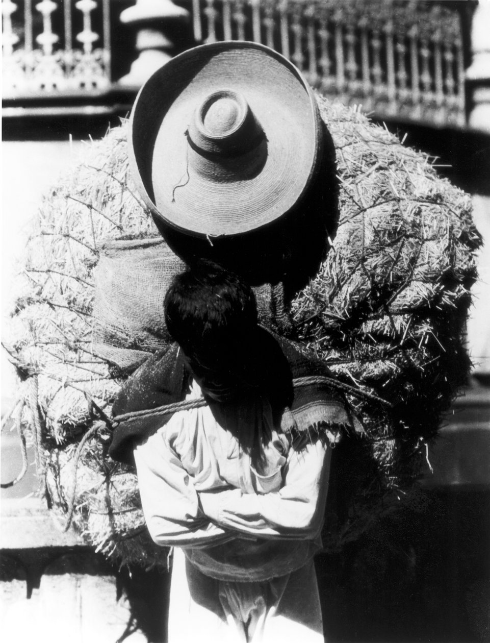 Campesino, Estado de Veracruz, México, 1927 de Tina Modotti