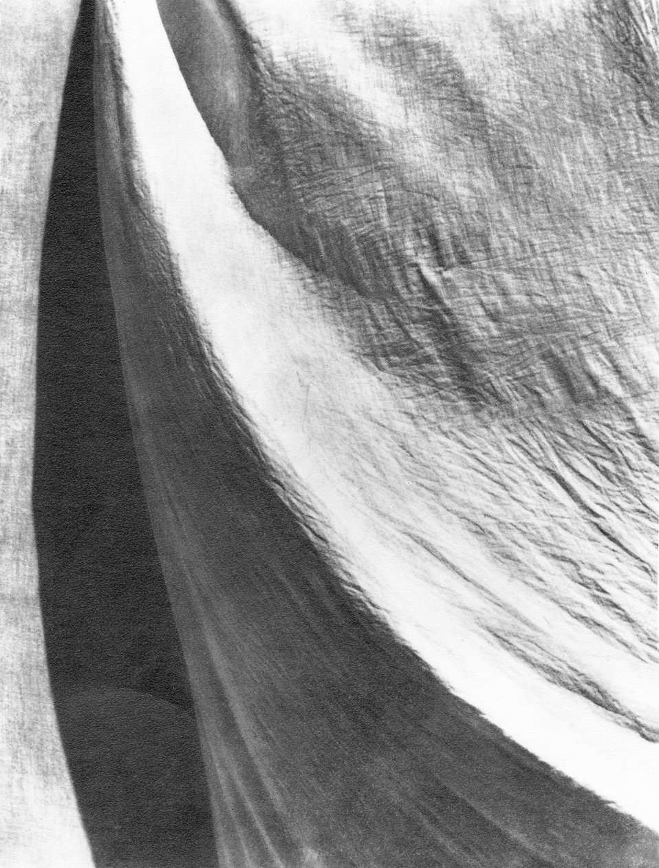 Pano, México, 1924 de Tina Modotti