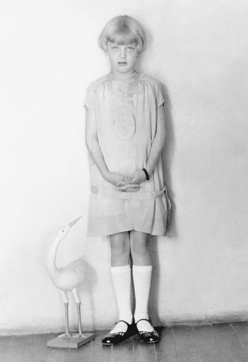 Menina com cegonha, cidade do México, c.1926 de Tina Modotti