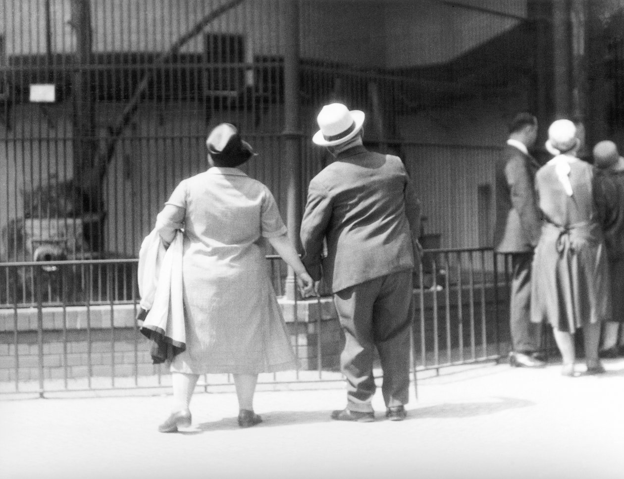 No jardim zoológico, Berlim, Alemanha, 1930 de Tina Modotti