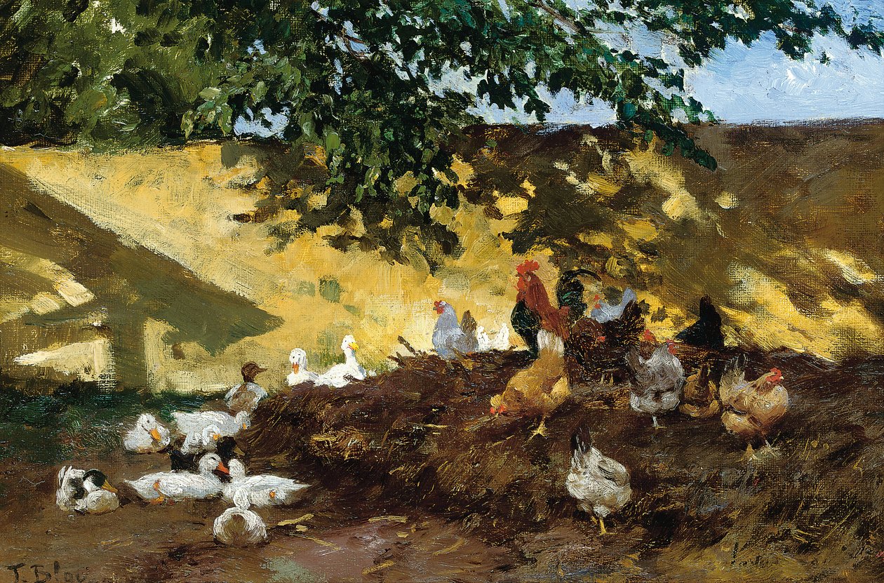 Patos e galinhas em um curral de Tina Blau Lang