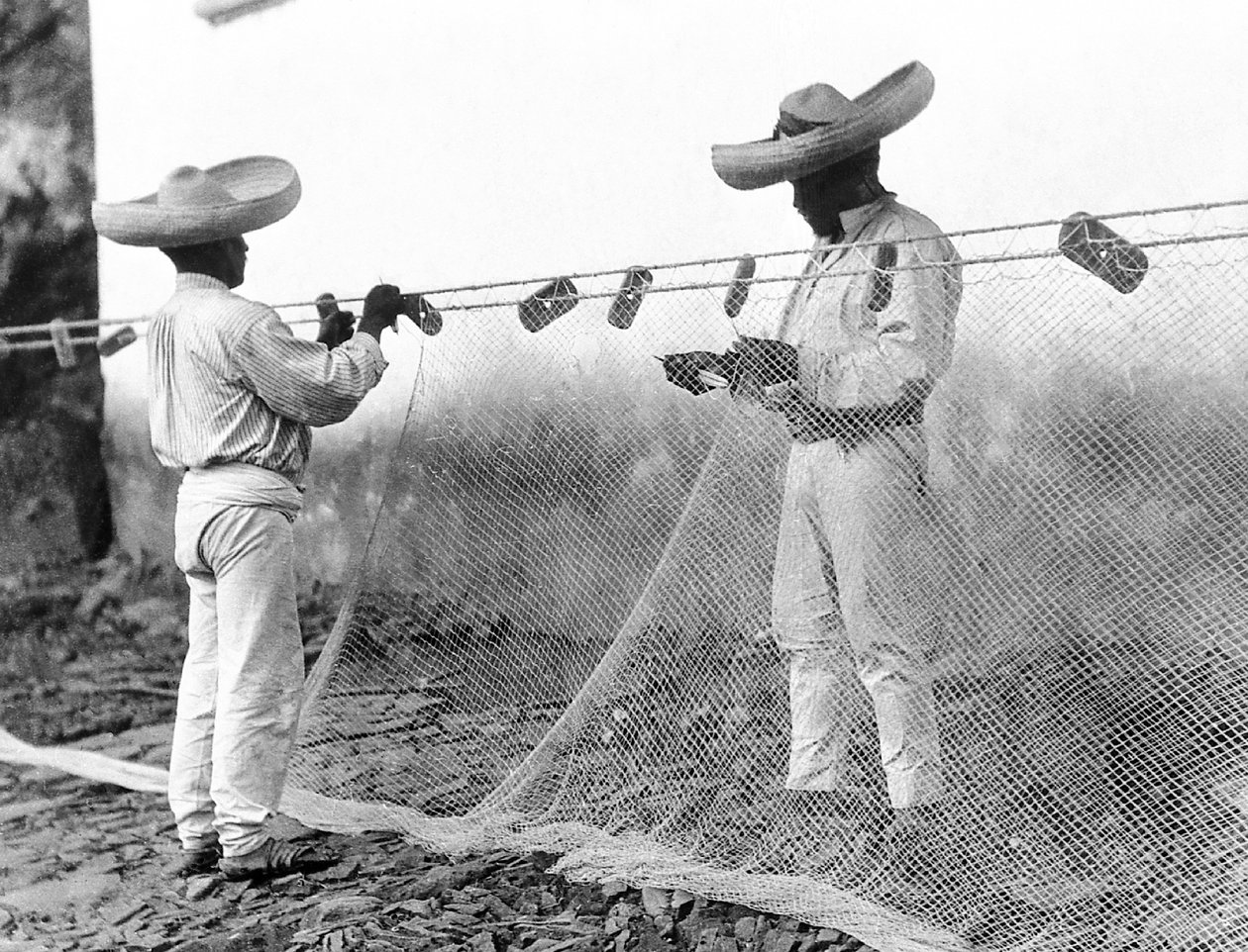 Pescadores, com, redes, méxico, c.1926 de Tina Modotti