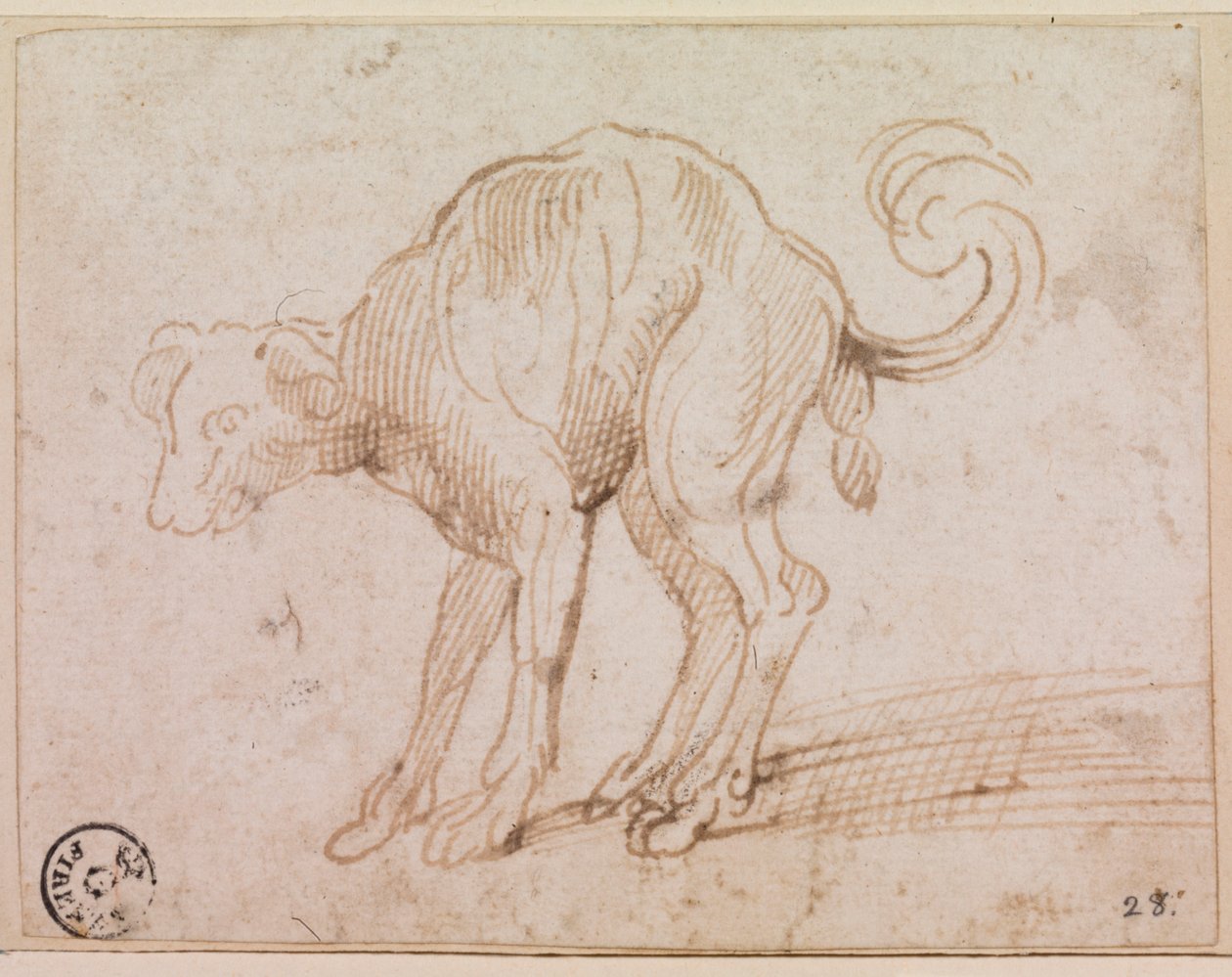 Pormenor de um cão a atravessar o Mar Vermelho (caneta e tinta sobre papel) de Titian (c.1488 1576)
