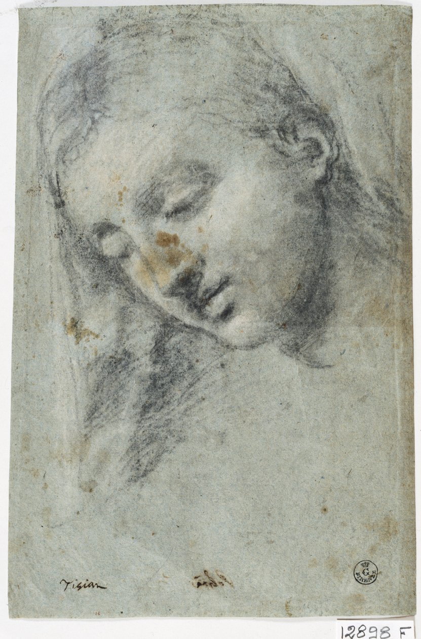 Cabeça de mulher (carvão sobre papel) de Titian (c.1488 1576)