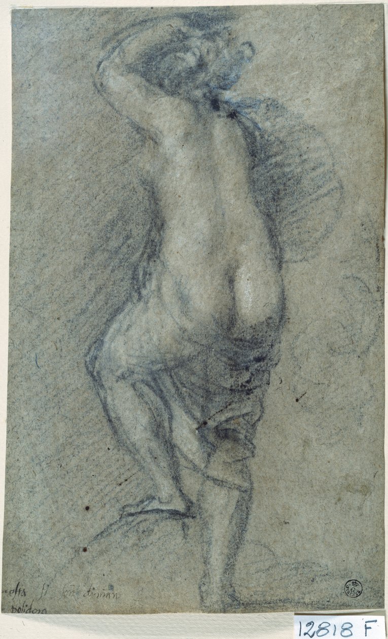 Mulher nua (giz sobre papel) de Titian (c.1488 1576)