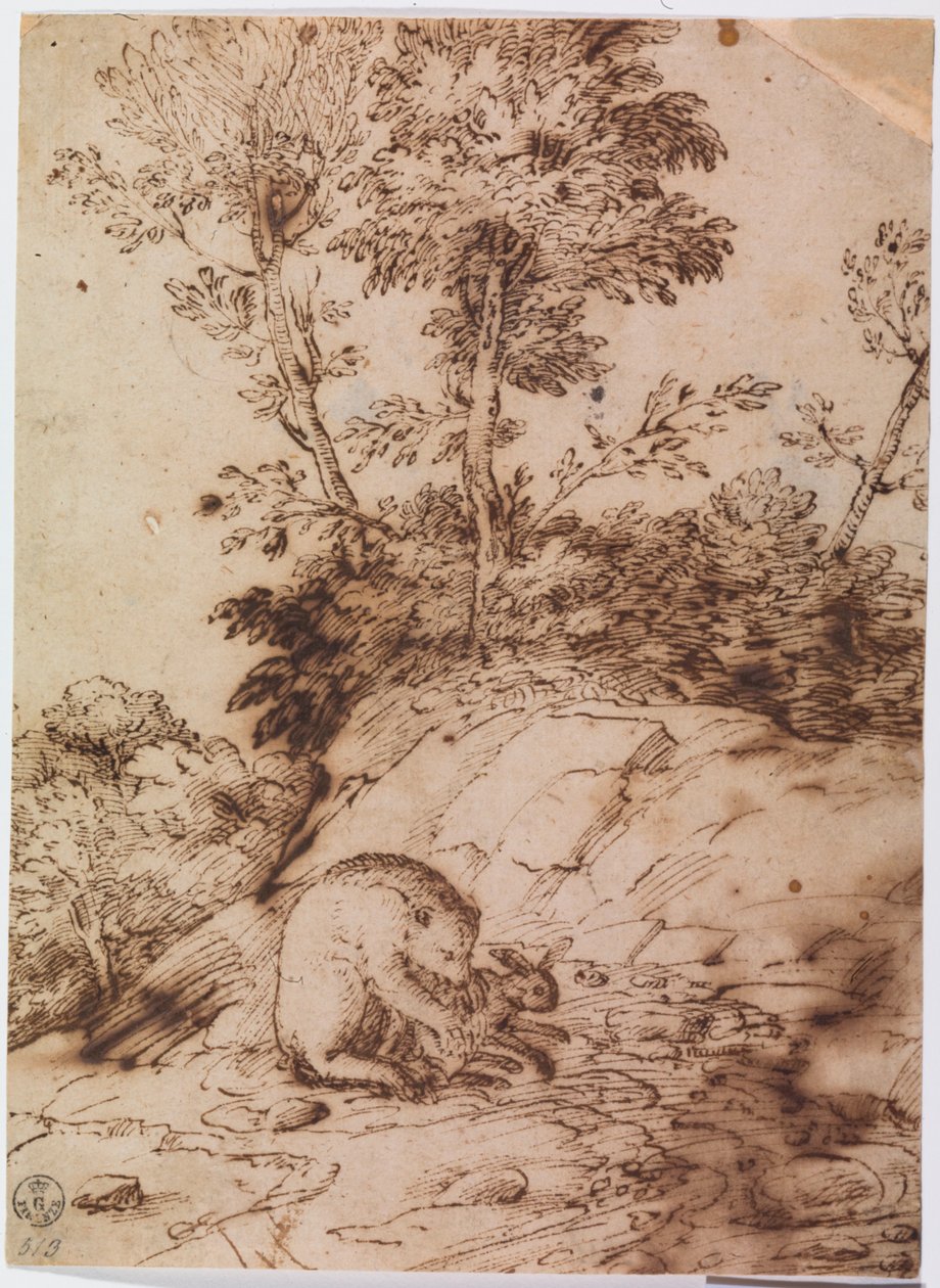 Um urso a comer um coelho (caneta e tinta sobre papel) de Titian (c.1488 1576)