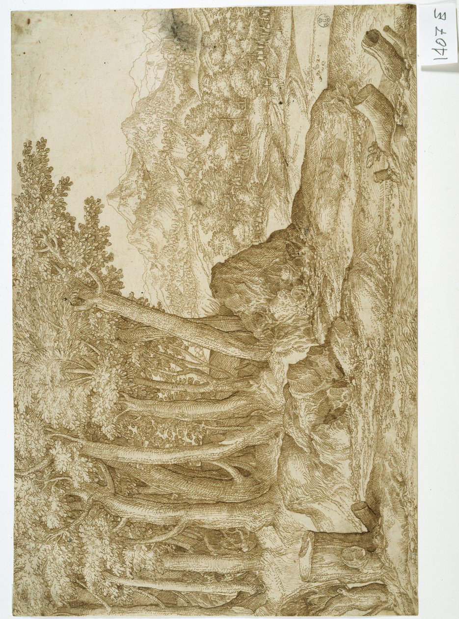 Paisagem (caneta e tinta sobre papel) de Titian (c.1488 1576)