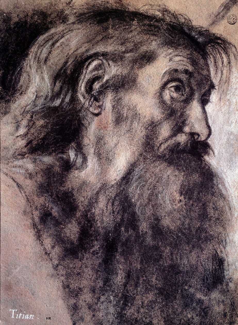 Cabeça do velho Desenho de Tiziano Vecellio chamado Titian (1485-1576) Século XVI Paris, Museu do Louvre de Titian (c.1488 1576)