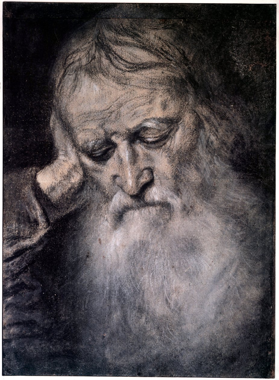 Cabeça do velho Desenho de Tiziano Vecellio chamado Titian (1485-1576) Século XVI Paris, Museu do Louvre de Tiziano Vecelli