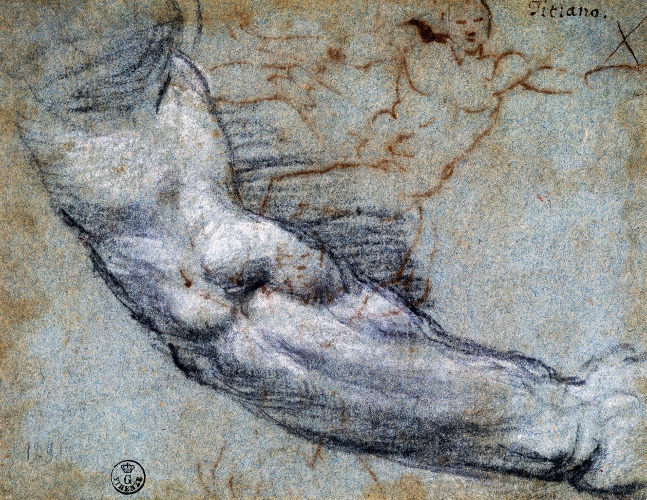 Estudo de braço, por Ticiano (ca. 1488-1576), desenho de Titian (c.1488 1576)