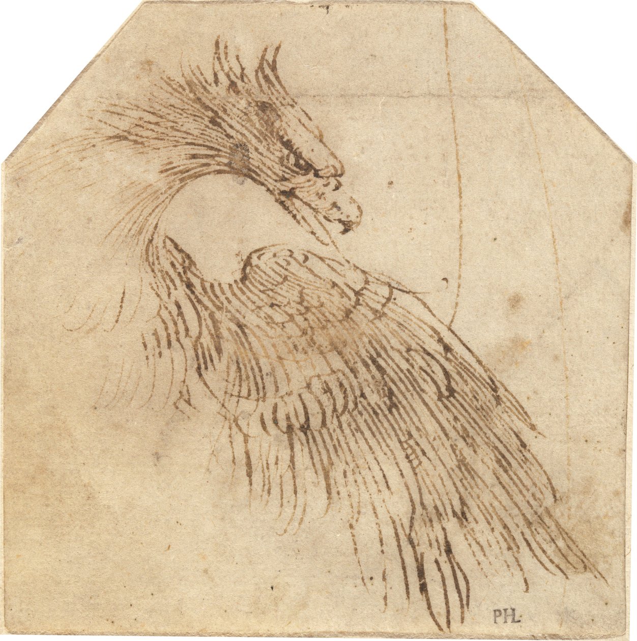 Uma águia de Titian