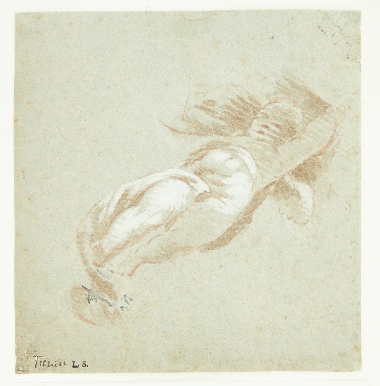 Flyvende putto de Tizian