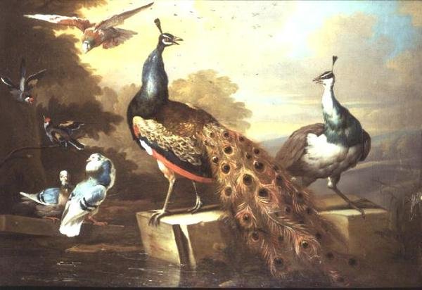 Pavão e Galinha de Ervilha numa Paisagem de Tobias Stranover