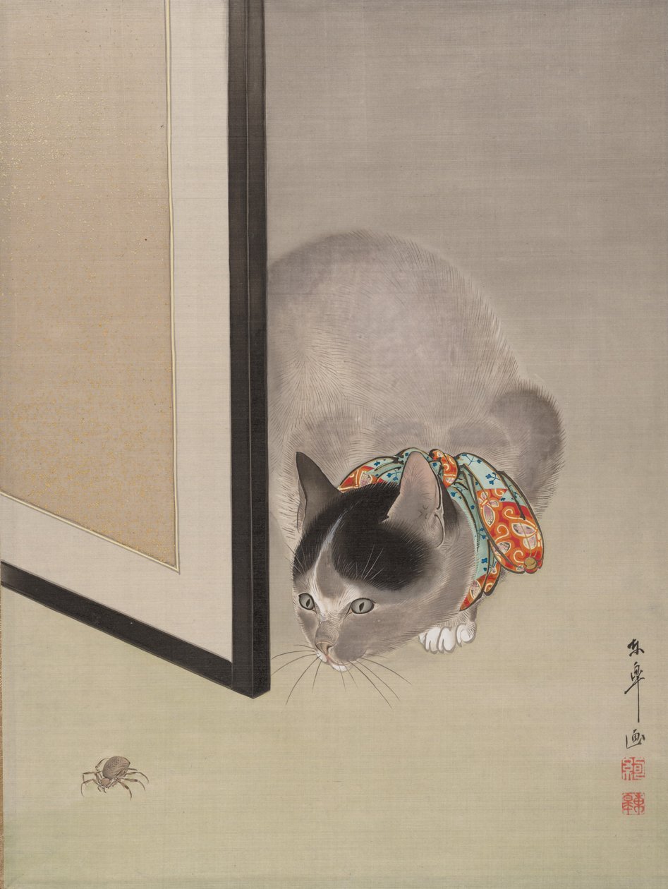 Gato assistindo uma aranha, ca. 1888-92. de Toko Oide