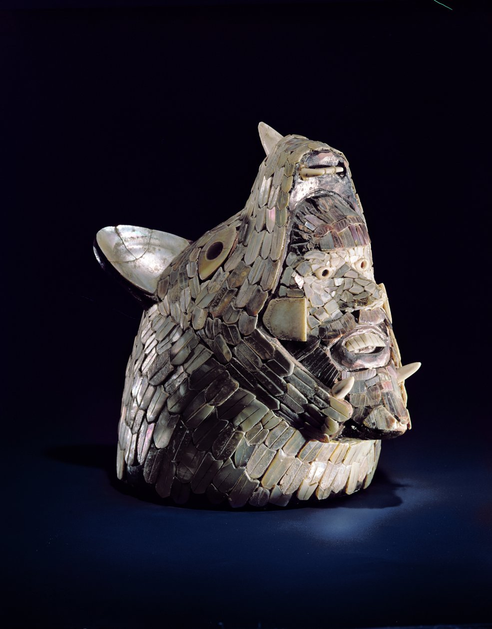 Cabeça de um animal com uma cabeça humana nas mandíbulas abertas, encontrada em Tula, Hidalgo, México, Early Post-Classic (900-1250) (cerâmica com mosaico de madrepérola) de Toltec