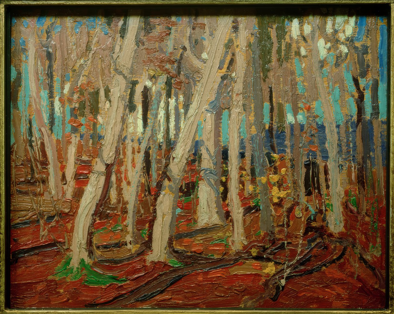 Madeiras do bordo, troncos desencapados, 1915 de Tom Thomson