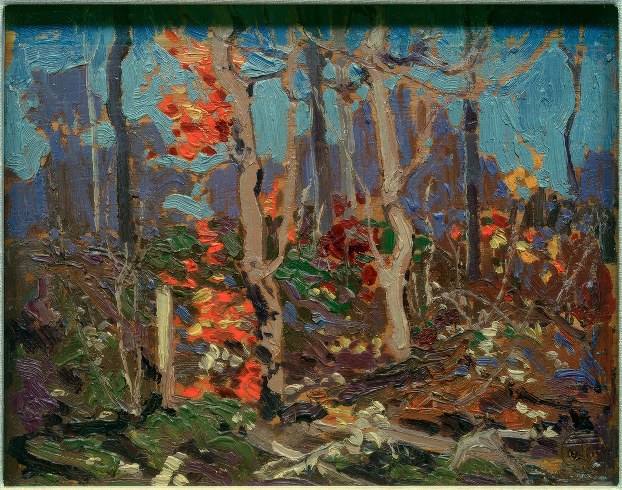 Carvalhos irregulares de Tom Thomson