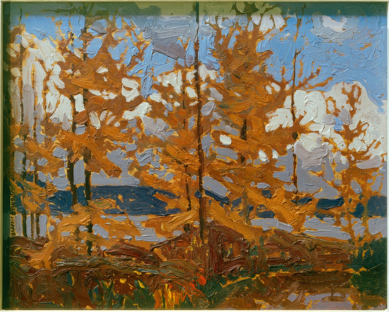Tamaracks de Tom Thomson