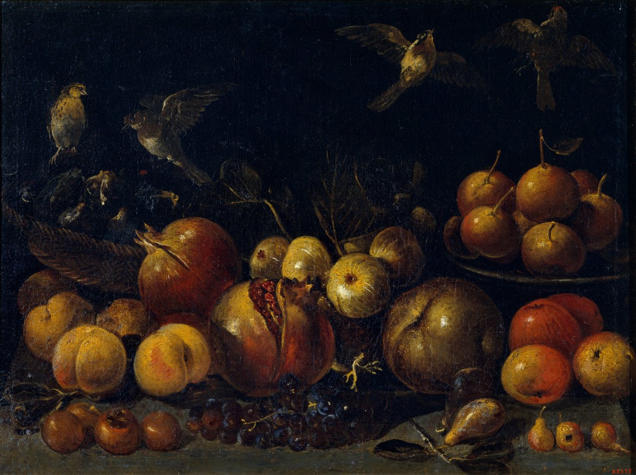 Ainda vida com romãs, maçãs, peras, uvas, figos e pássaros de Tommaso Realfonso