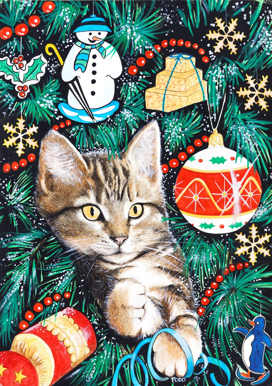 Gatinho de Natal Tabby de Tony Todd