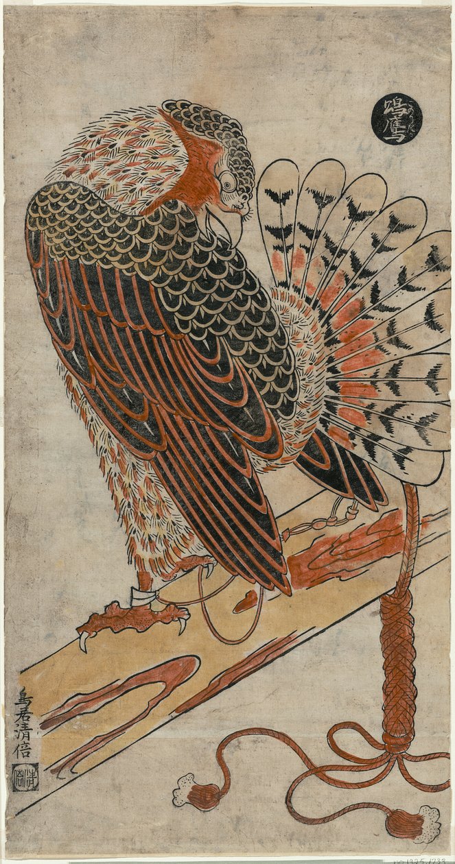 Gavião (Konori Taka) de Torii Kiyomasu I