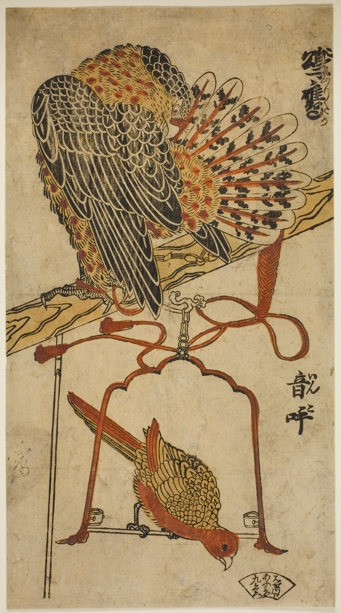 Gavião e Arara (gavião e arara) de Torii Kiyomasu I