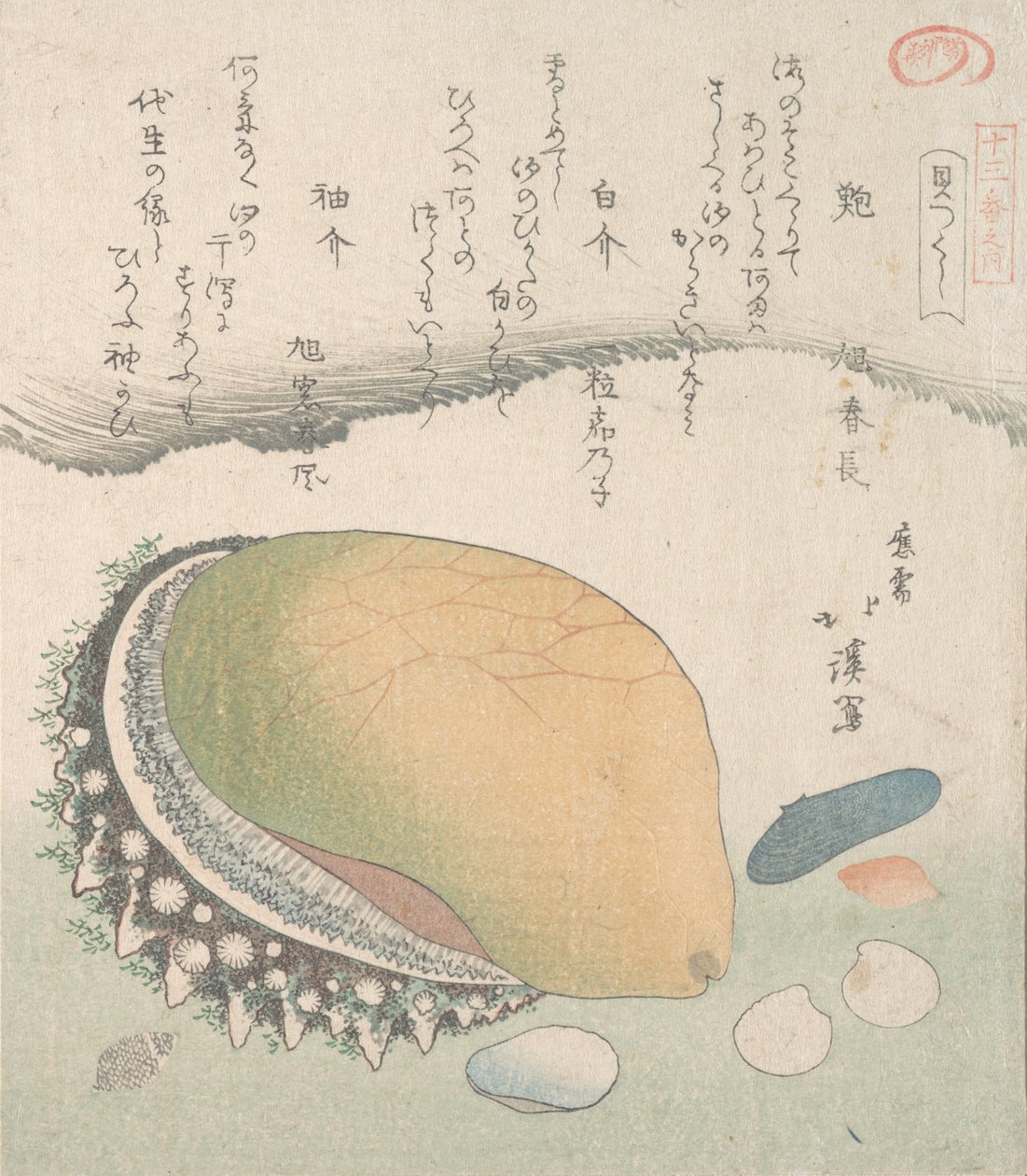 Awabi Ear-Shell e várias conchas, século 19. de Totoya Hokkei