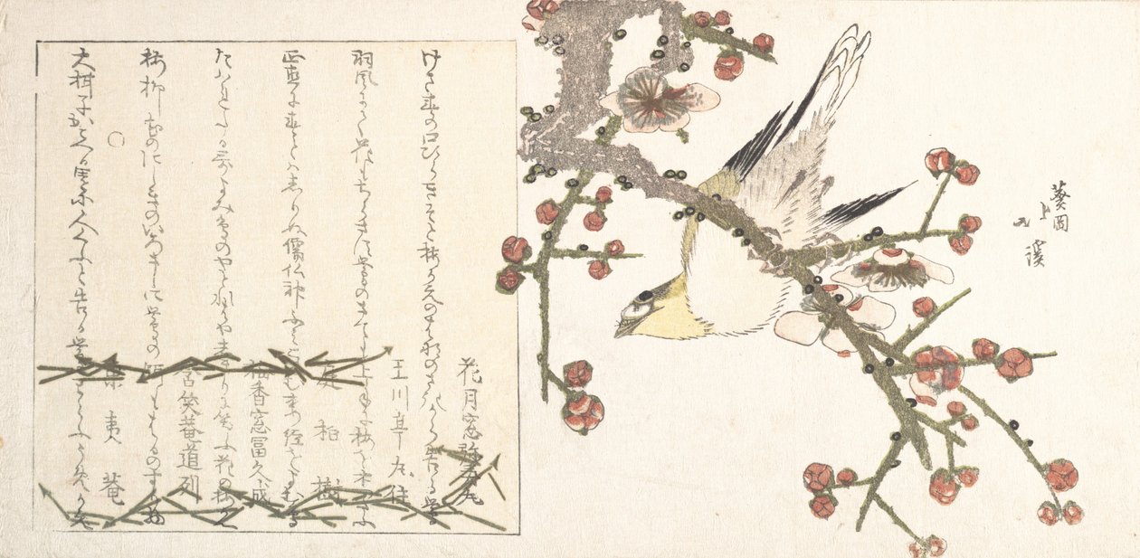 Bush Warbler em um galho de ameixa Ume ni uguisu, início do século 19. de Totoya Hokkei