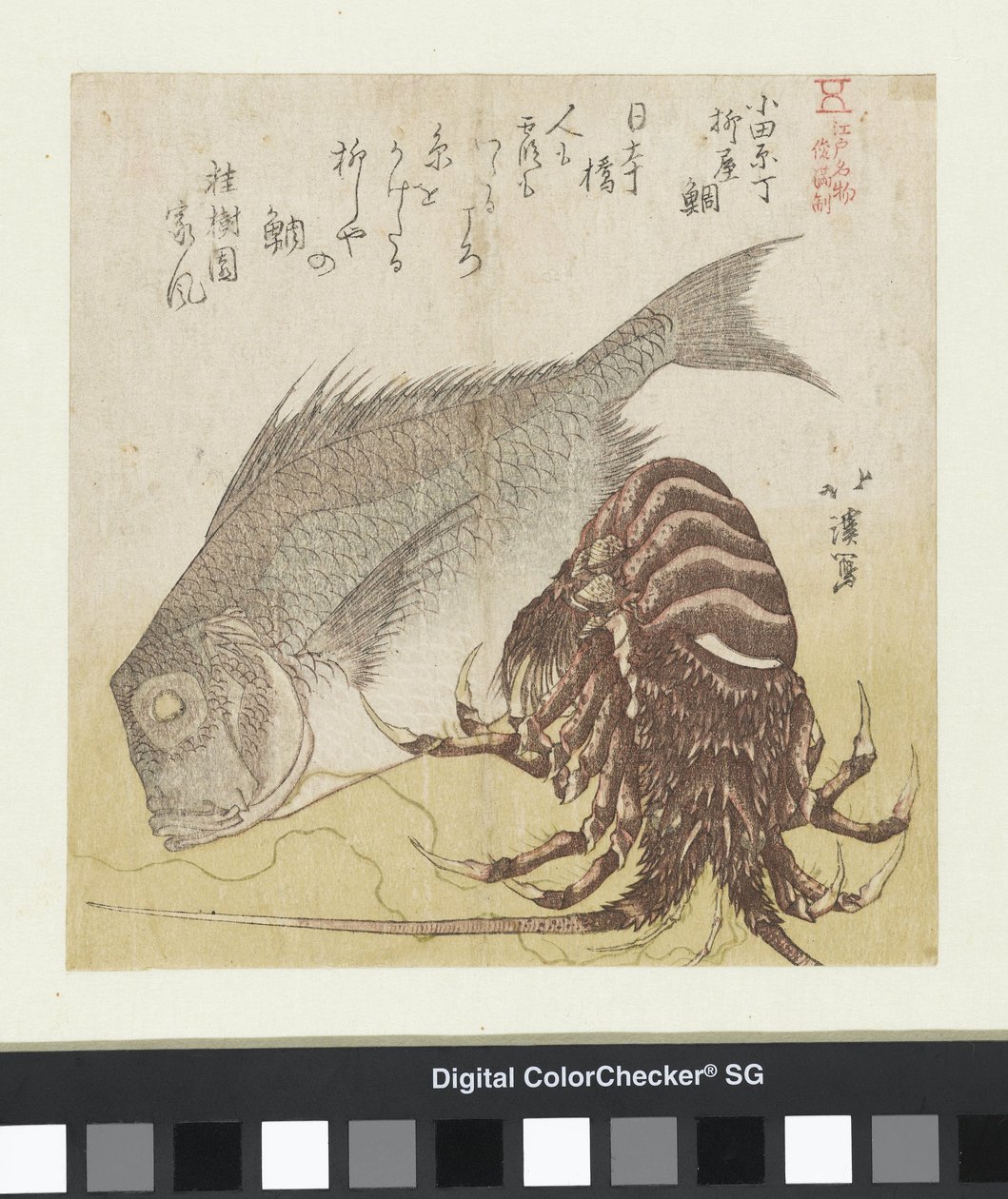 Robalo Yanagiya em Odawarachô
Odawarachô Yanagiya tai (título sobre o objecto)
Produtos famosos de Edo (título da série)
Edo meibutsu (título da série sobre o objecto) de Totoya Hokkei