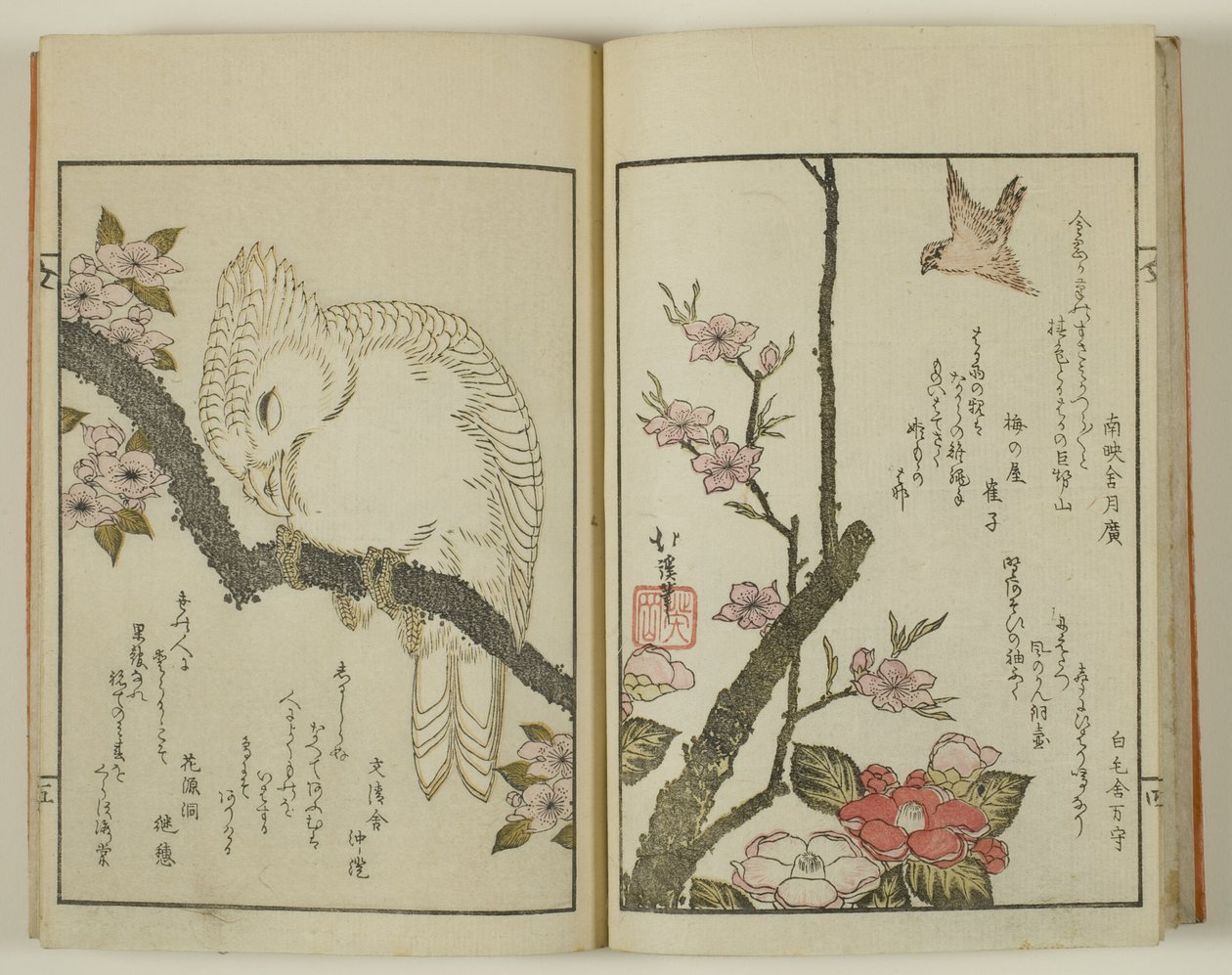 Kyoka hyakucho Kocho de Totoya Hokkei