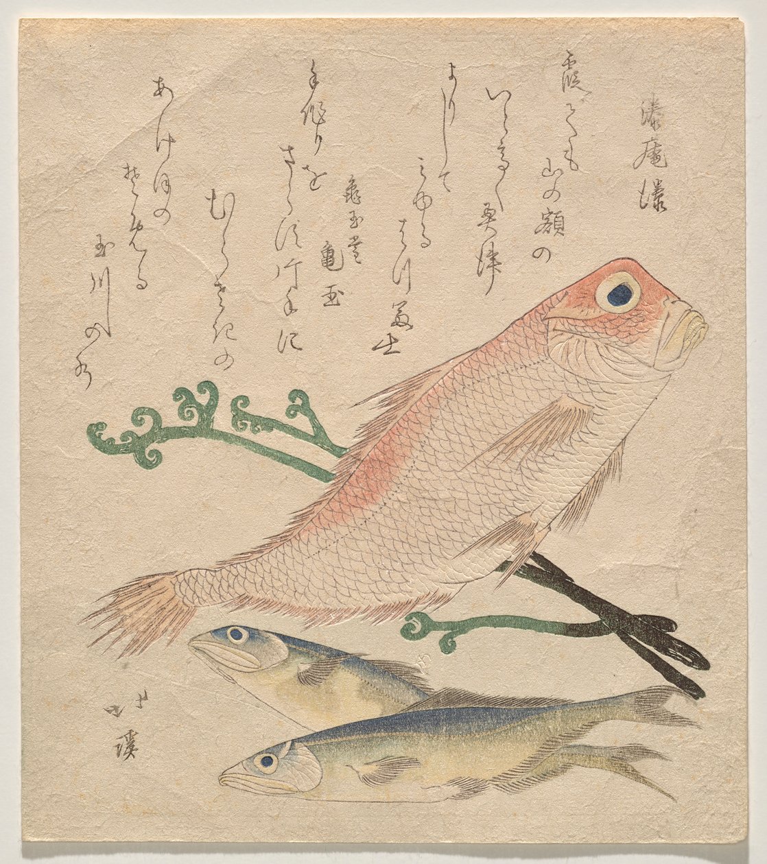 Dourada rosada (shiro-amadai) e duas trutas pequenas (ai) de Totoya Hokkei