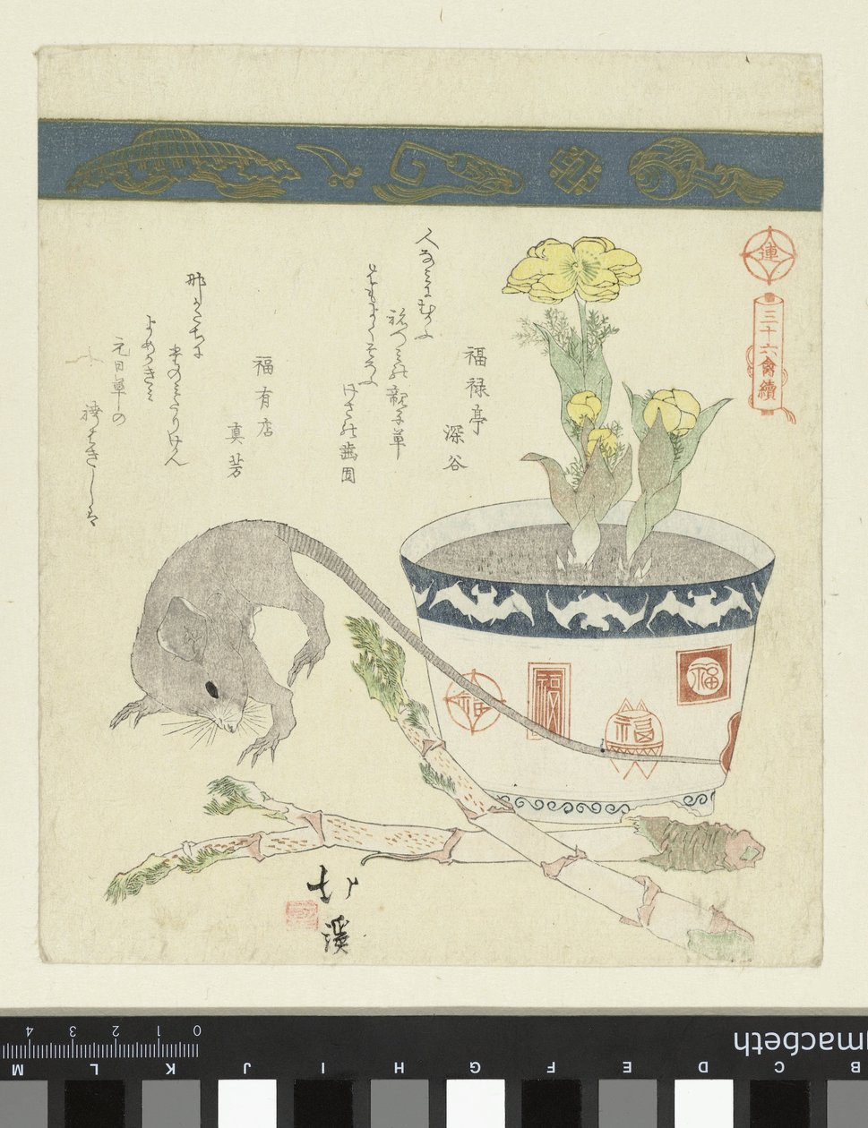Rato e tigela com Adónis
Uma série de trinta e seis aves (título da série)
Sanjûrokutoritsukushi (título da série sobre o objecto) de Totoya Hokkei