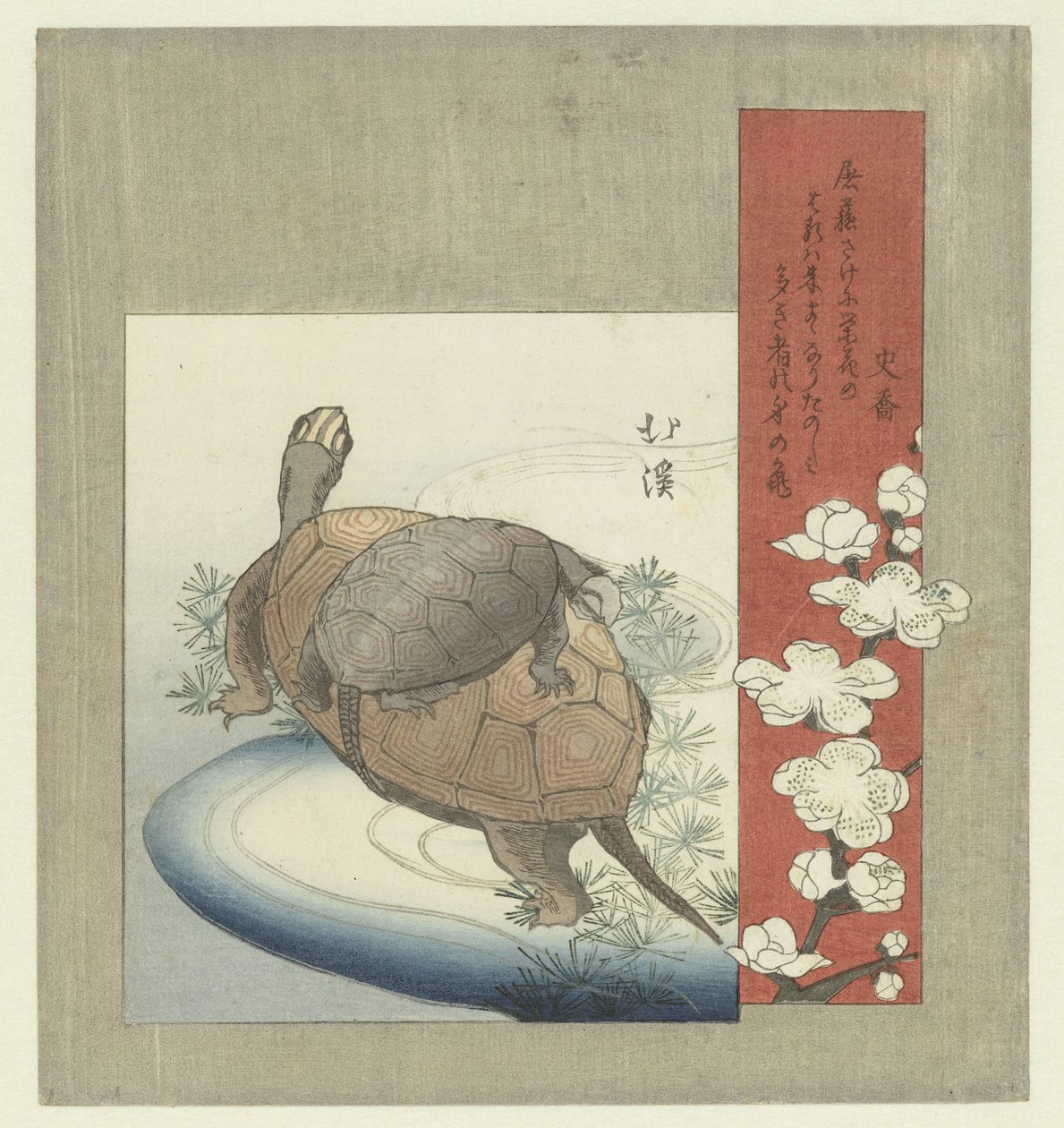 tartarugas de Totoya Hokkei
