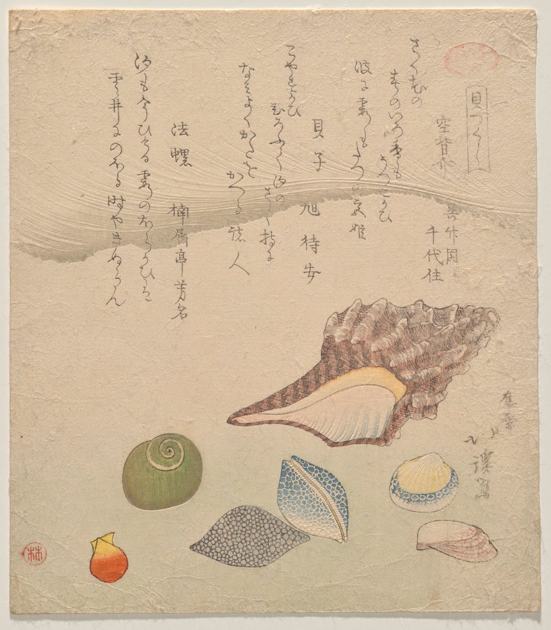 Seven Shells at the Edge of the Sea, da série Shells Compendium (Kaizukushi) de Totoya Hokkei