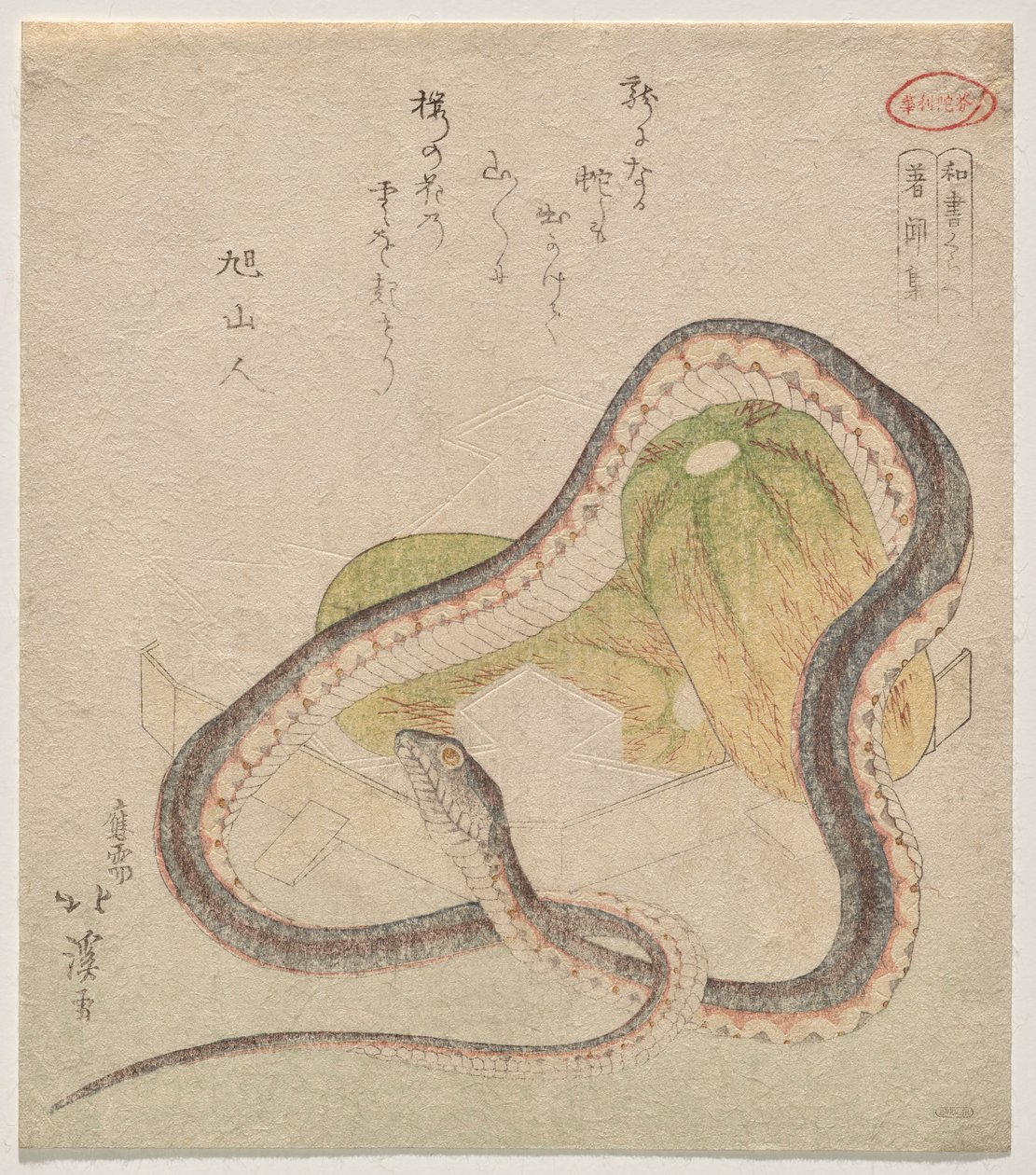 Serpente entrelaçada com cabaças (Chomonj?; abreviatura de Kokon Chomonj?) de Totoya Hokkei