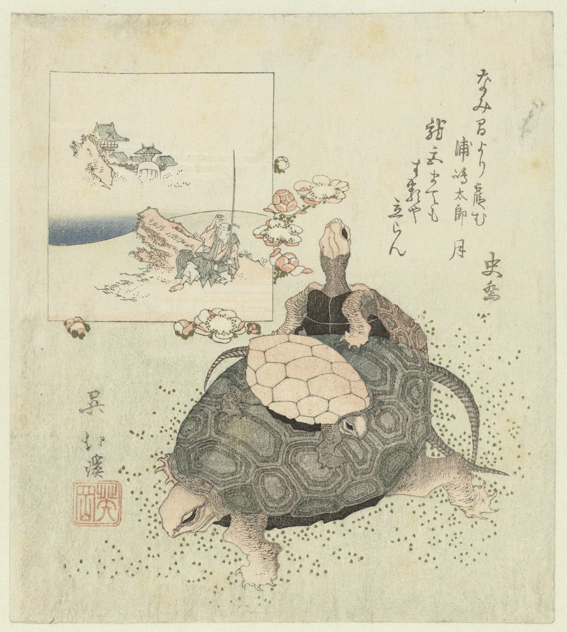 Tartarugas de Totoya Hokkei