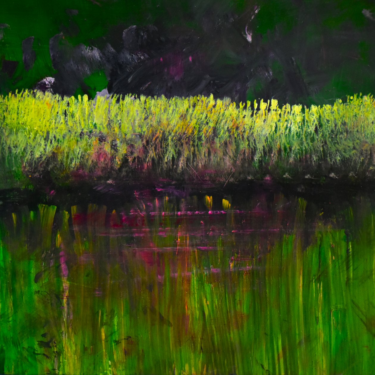 Marsh- Nocturne, 2017 (óleo sobre painel) de Tracy Lambros