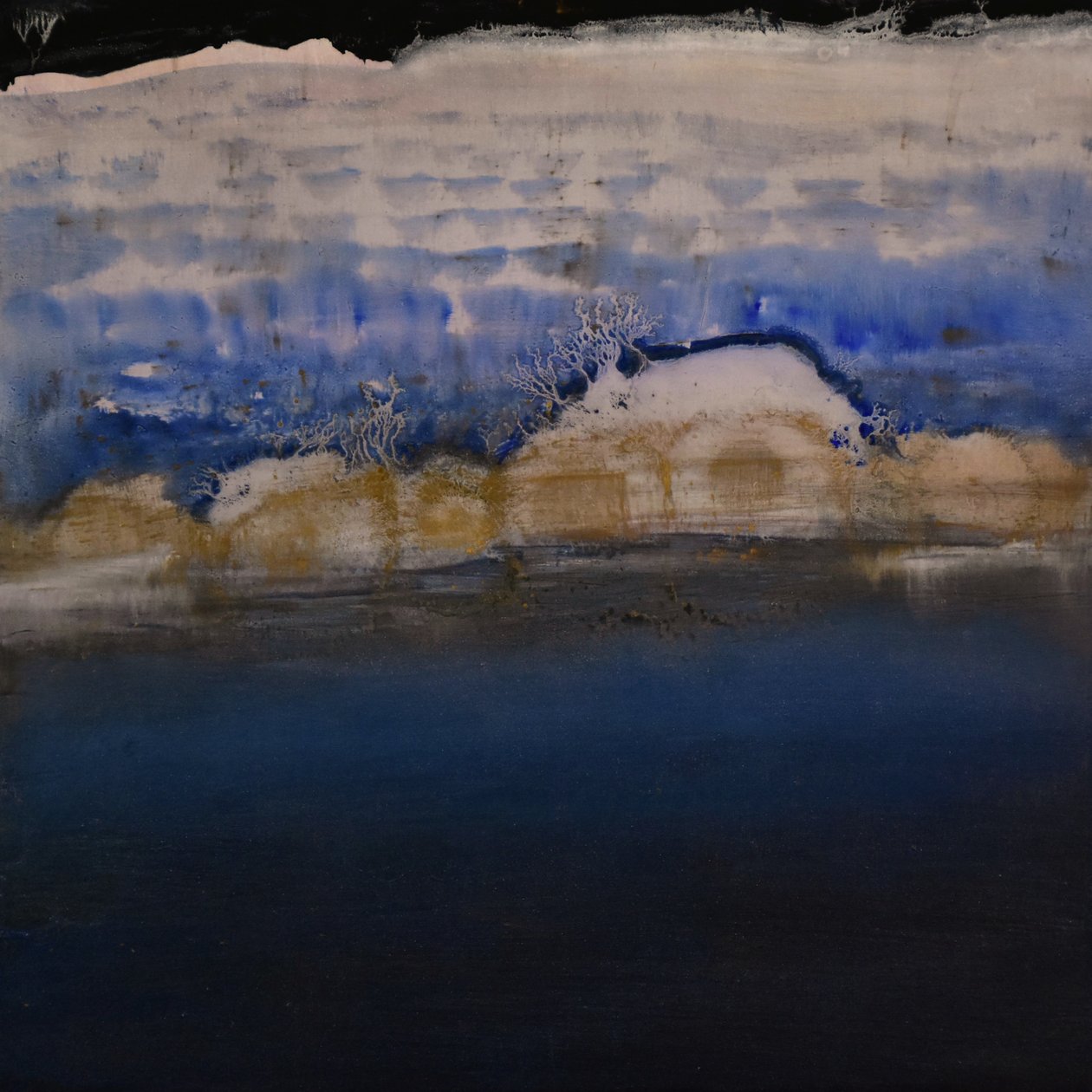 Natural Unnatural Series 28, 2004 (óleo sobre painel) de Tracy Lambros
