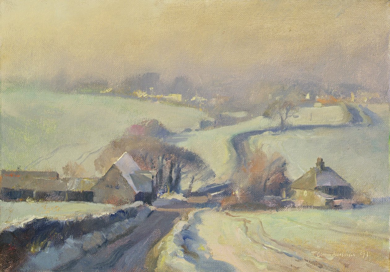 Campos gelados, Aston, 1991 de Trevor Chamberlain
