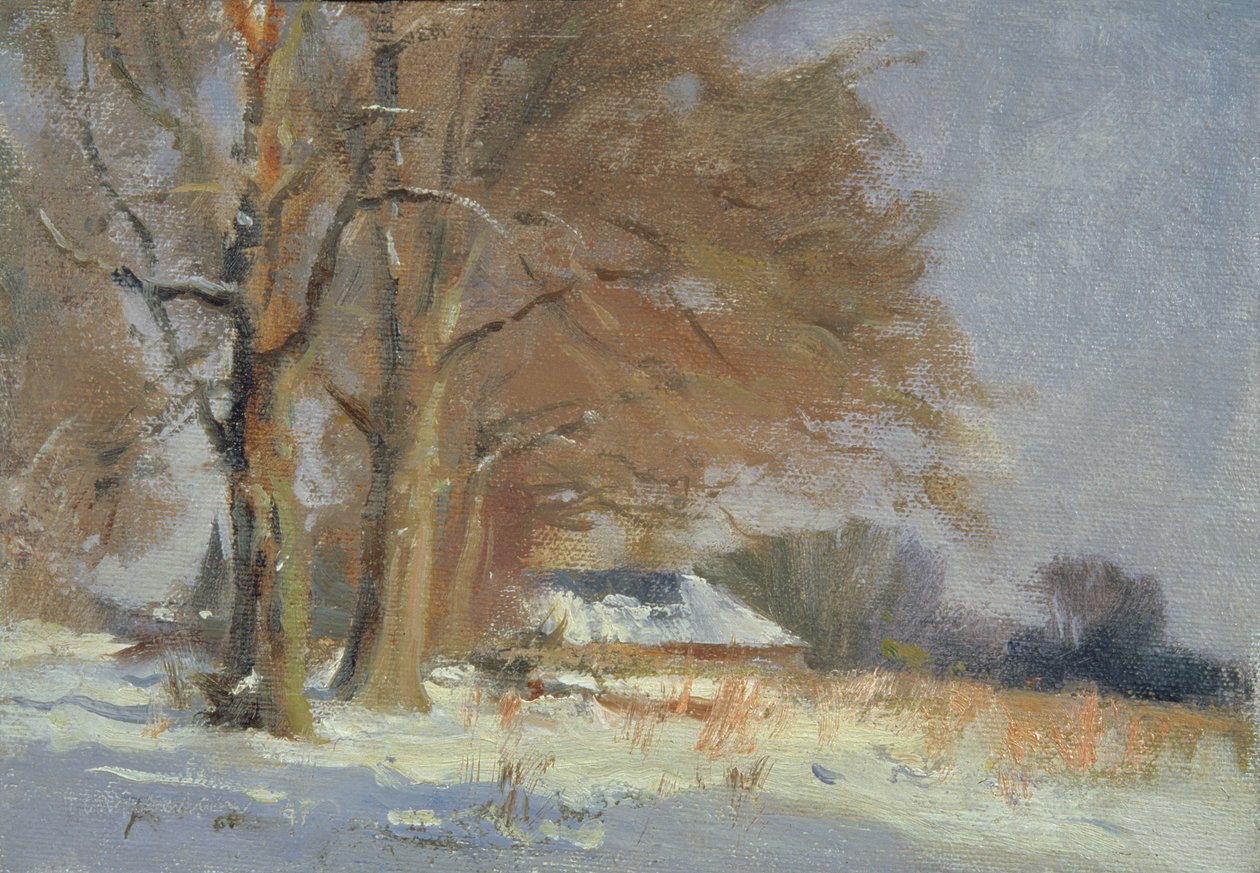 Limes na neve de Trevor Chamberlain