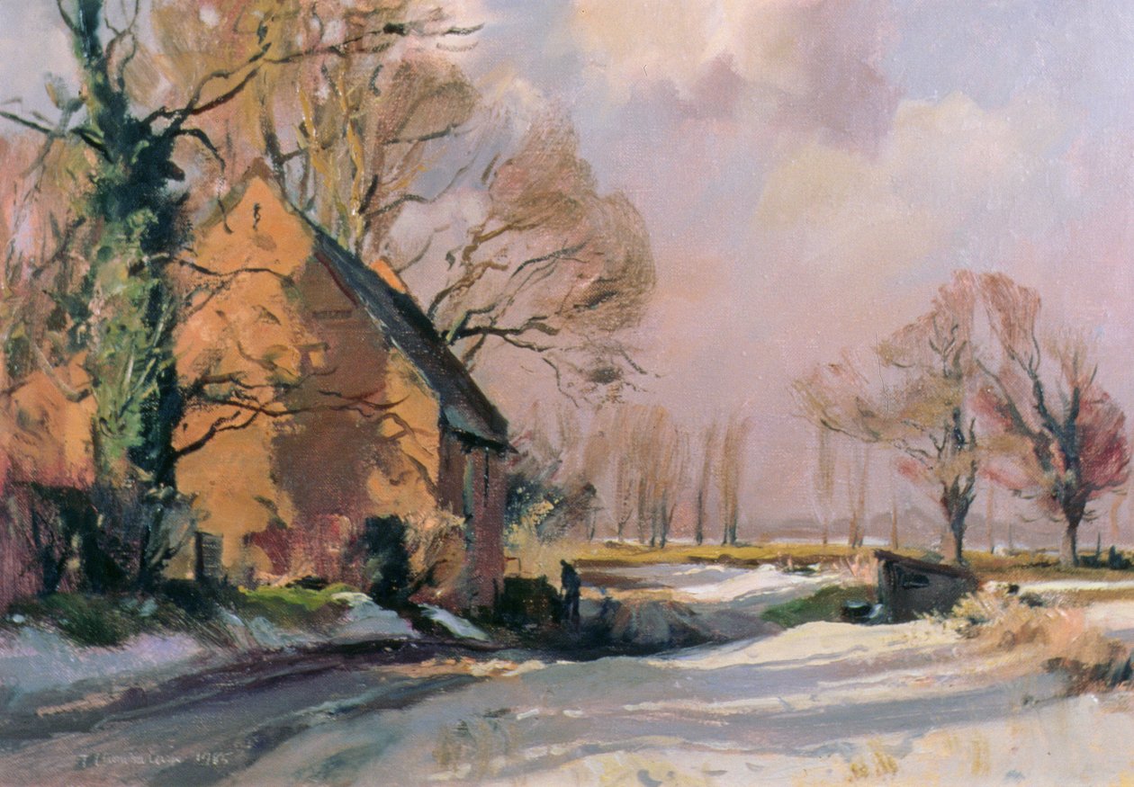 Norfolk Thaw, 1985 de Trevor Chamberlain