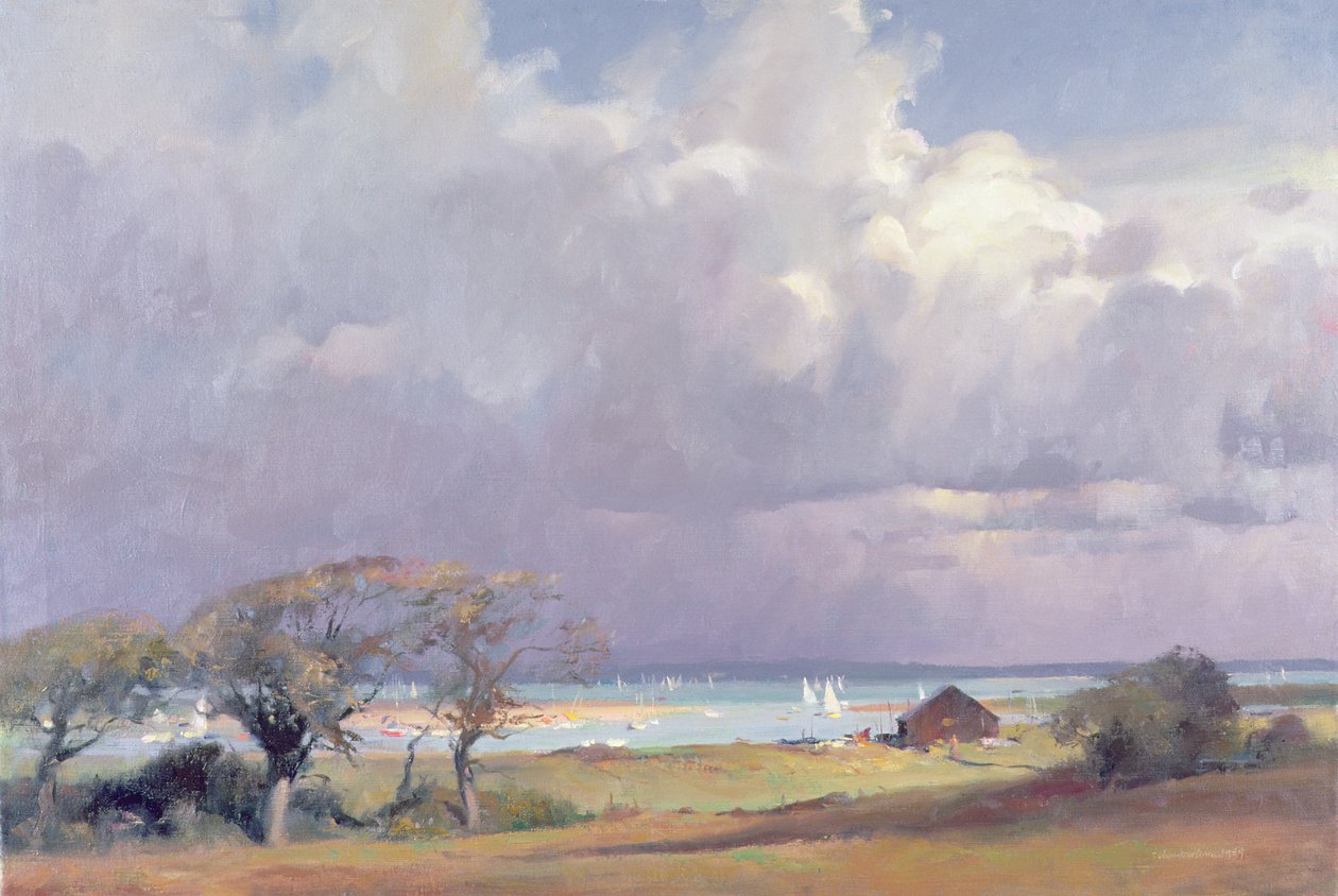 Tempestade ameaçadora no Solent, 1989 de Trevor Chamberlain